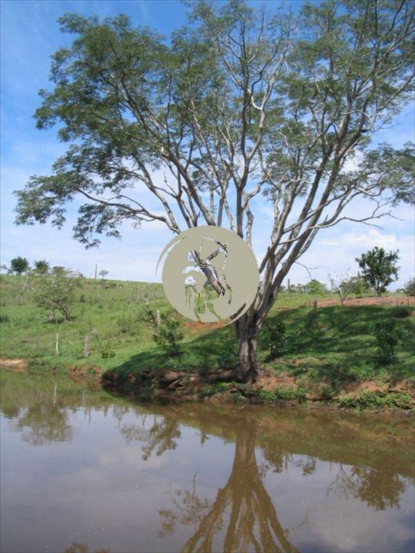 Terreno, 5 hectares - Foto 20