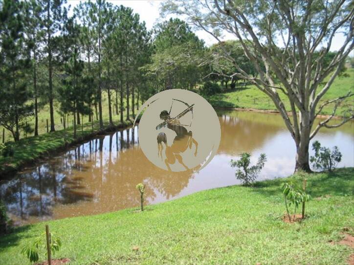 Terreno, 5 hectares - Foto 22