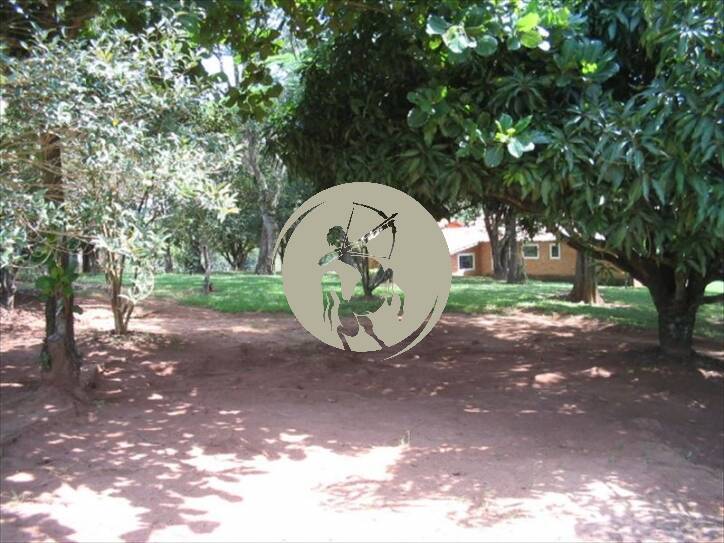 Terreno, 5 hectares - Foto 23