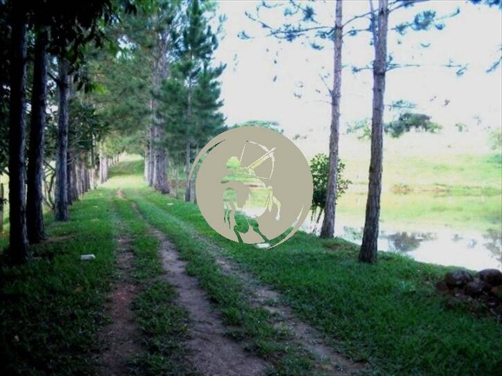 Terreno, 5 hectares - Foto 28