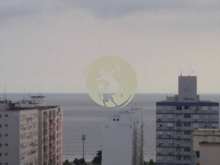 Cobertura, 4 quartos, 288 m² - Foto 3