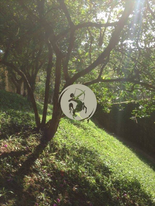 Casa, 4 quartos, 462 m² - Foto 14