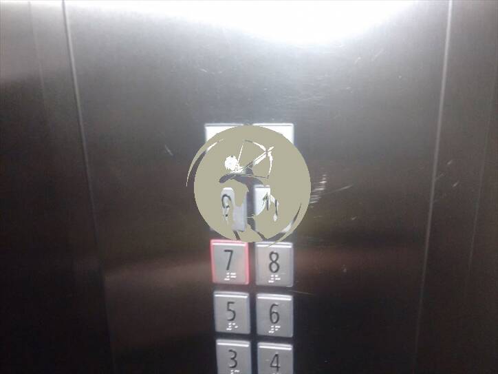 Apartamento, 1 quarto, 60 m² - Foto 3