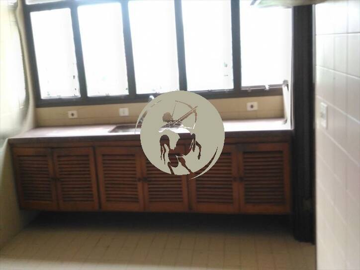 Apartamento, 4 quartos, 250 m² - Foto 24