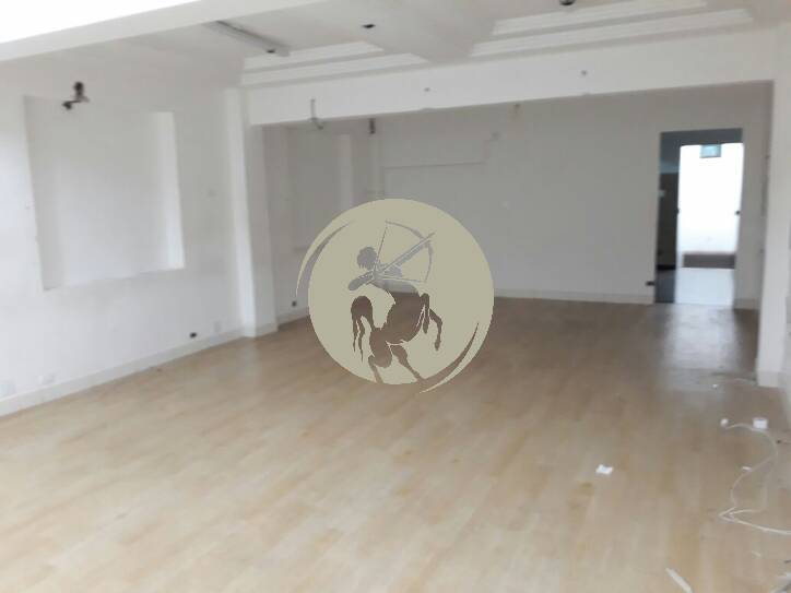 Sala-Conjunto, 380 m² - Foto 2