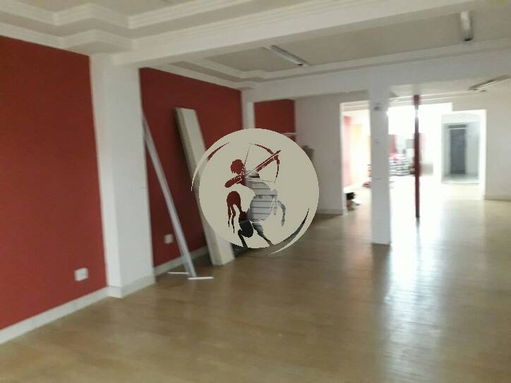 Sala-Conjunto, 380 m² - Foto 13