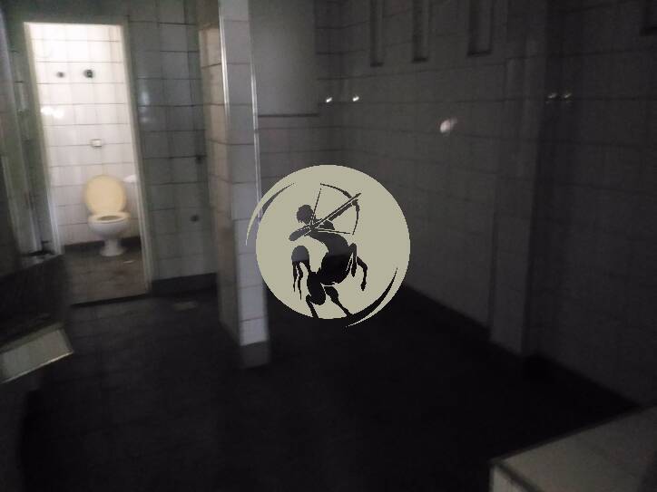 Casa, 4 quartos, 380 m² - Foto 36