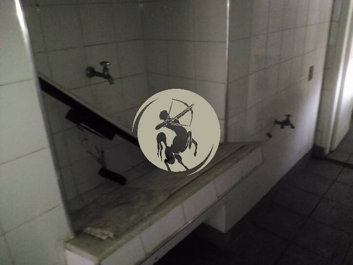 Casa, 4 quartos, 380 m² - Foto 38